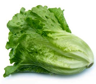 生菜沖施肥 生菜沖施肥