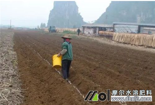 復合肥撒施肥 復合肥撒施肥