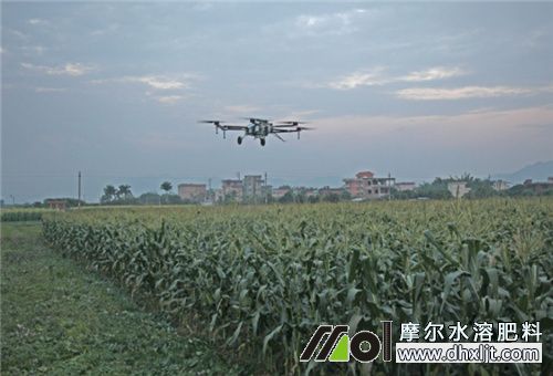 無人機(jī)飛防噴施 無人機(jī)飛防噴施