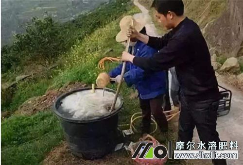 桶裝肥用法 桶裝肥用法