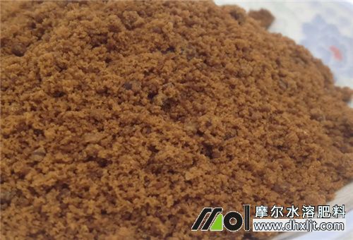 紅糖能否當沖施肥 紅糖能否當沖施肥