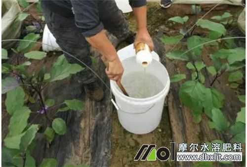 水沖肥化開后存放時間 水沖肥化開后存放時間