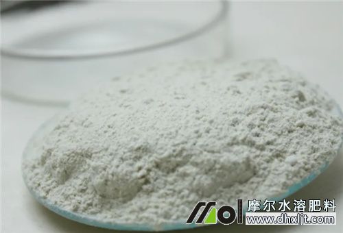 番茄肥害調節劑用法 番茄肥害調節劑用法