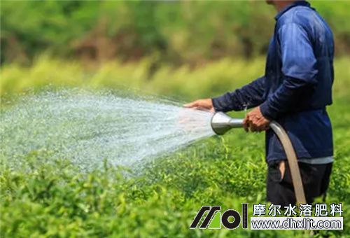 肥料沖施優點 肥料沖施優點