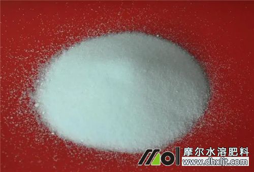 番茄膨大高鉀沖肥 番茄膨大高鉀沖肥