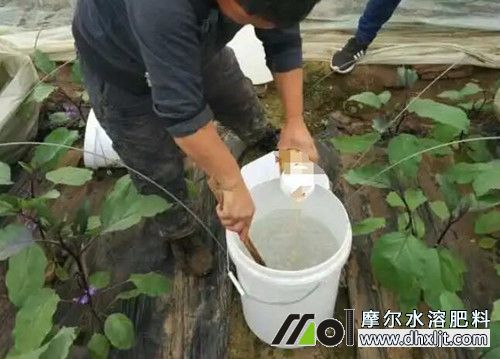 沖施肥稀釋 沖施肥稀釋